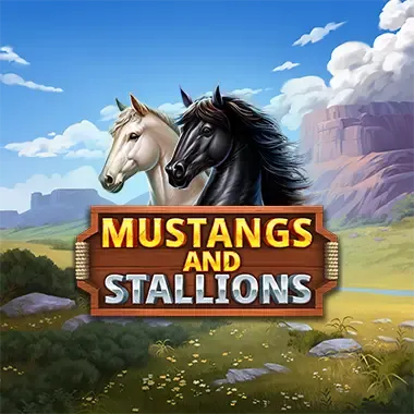 Mustangs and Stallions thumbnail